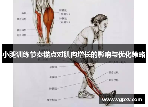 小腿训练节奏锚点对肌肉增长的影响与优化策略